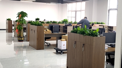 DQS Electronic Co., Limited